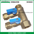 OEM&ODM Quality Brass Forged 2-Way Manifold (AV9068)